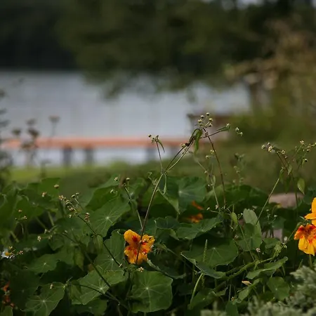 Siedlisko Klodno ホームステイ *