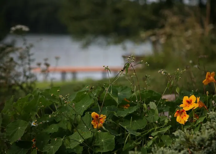 Siedlisko Klodno منزل للإقامة *